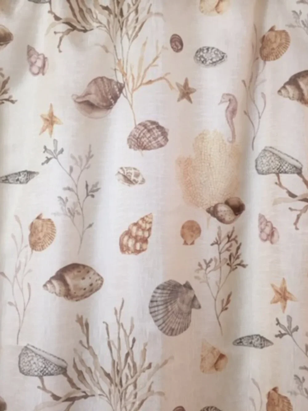 Chapel Hill By Croscill Golden Beige Sheer Shower Curtains (2) Beach Seashells